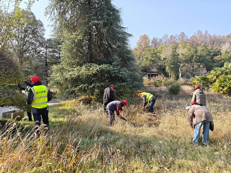 问鼎游戏娱乐平台