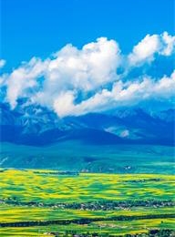 问鼎游戏娱乐平台