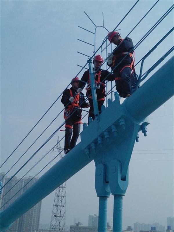 问鼎游戏娱乐平台