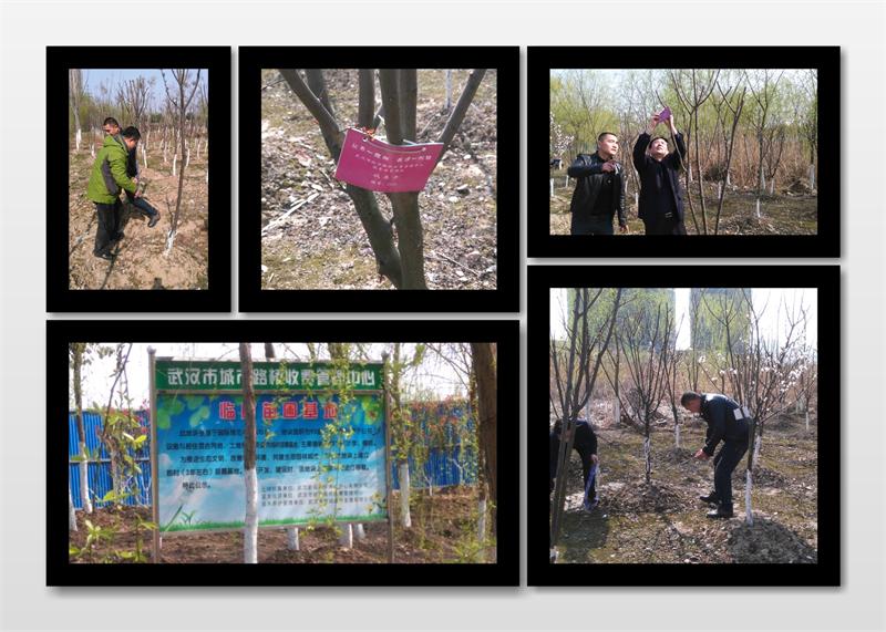 问鼎游戏娱乐平台