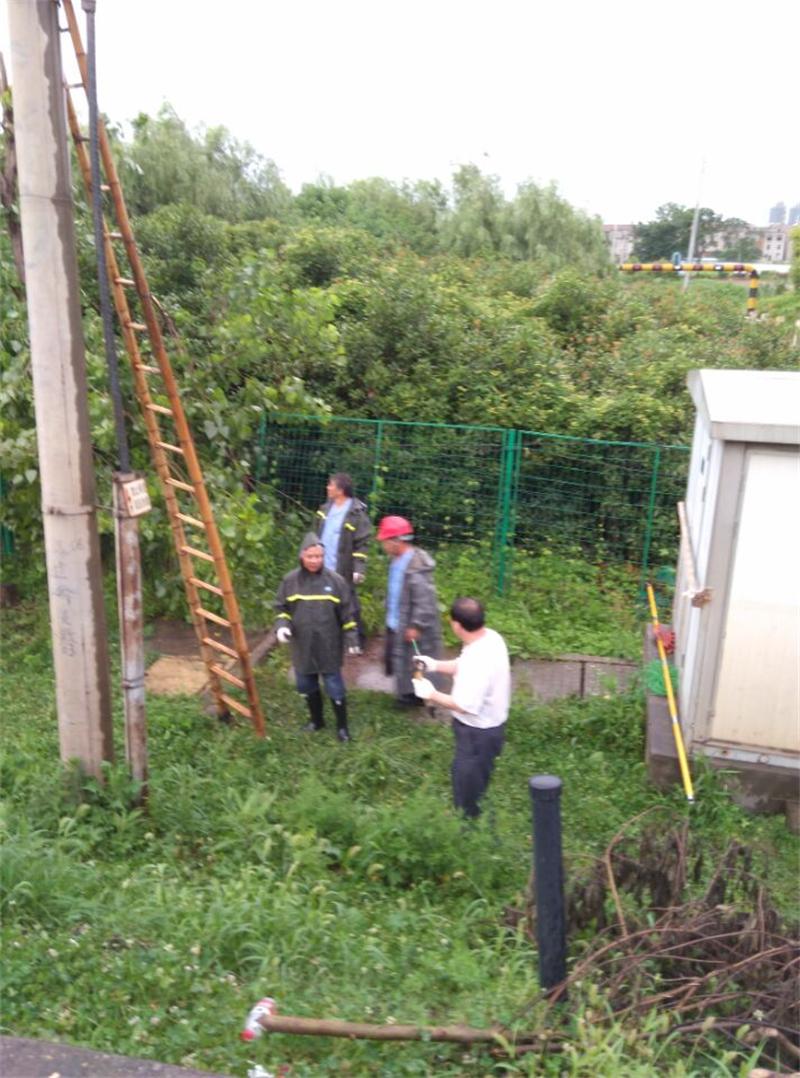 问鼎游戏娱乐平台