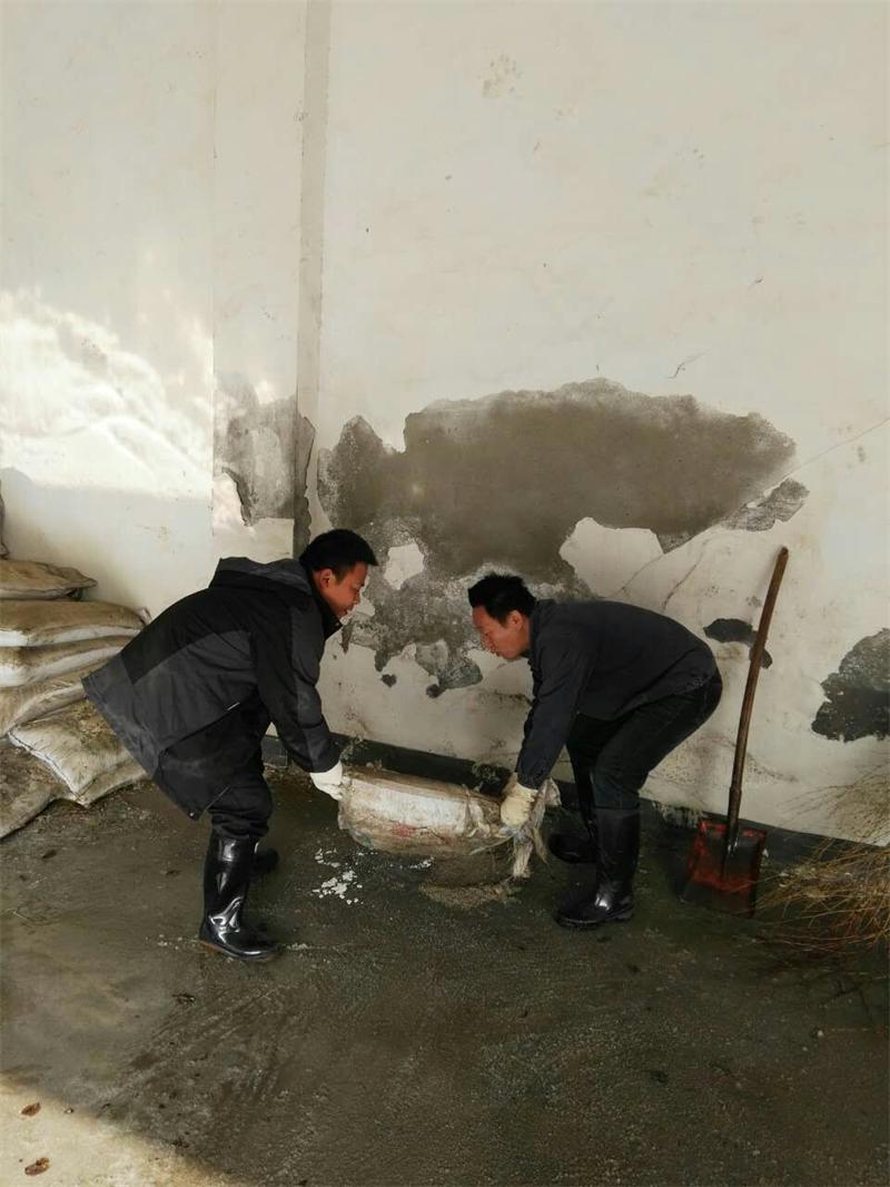 问鼎游戏娱乐平台