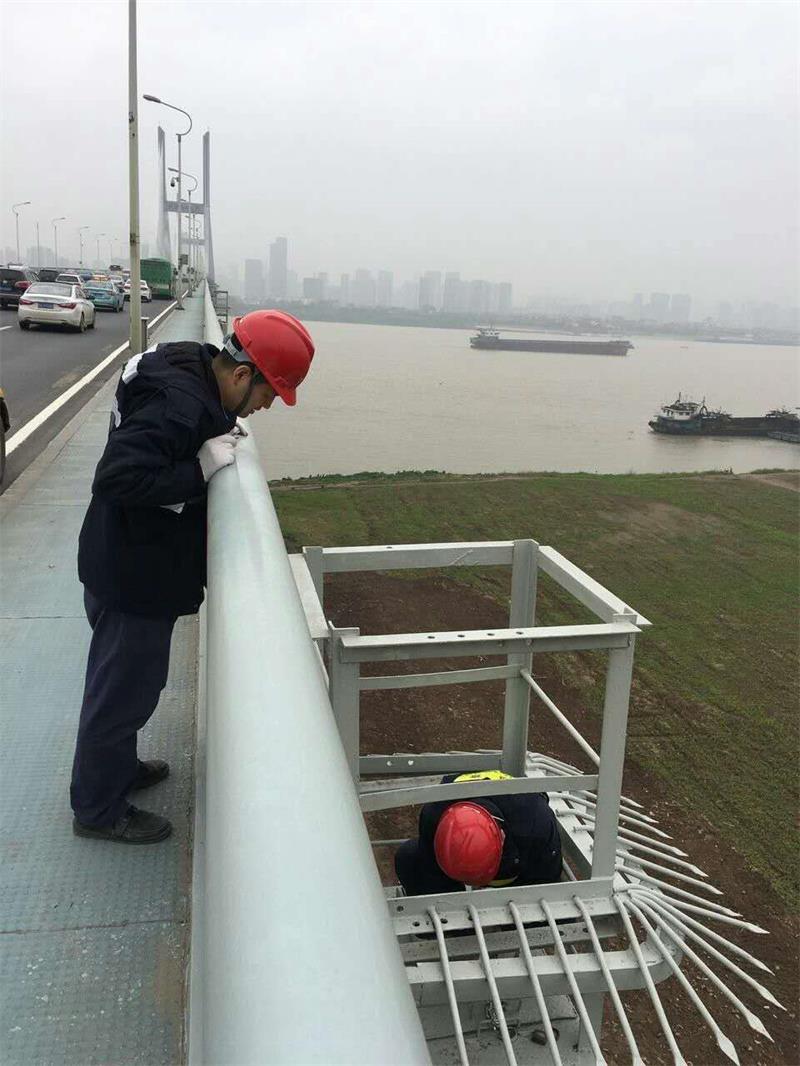 问鼎游戏娱乐平台