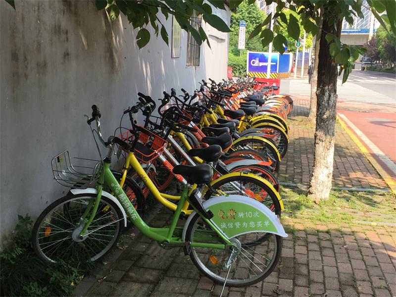 问鼎游戏娱乐平台