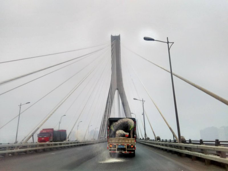 问鼎游戏娱乐平台