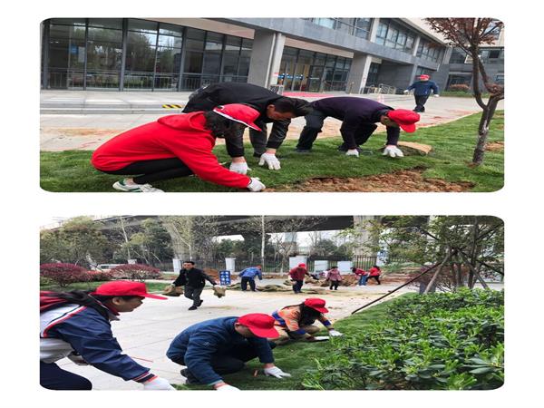 问鼎游戏娱乐平台