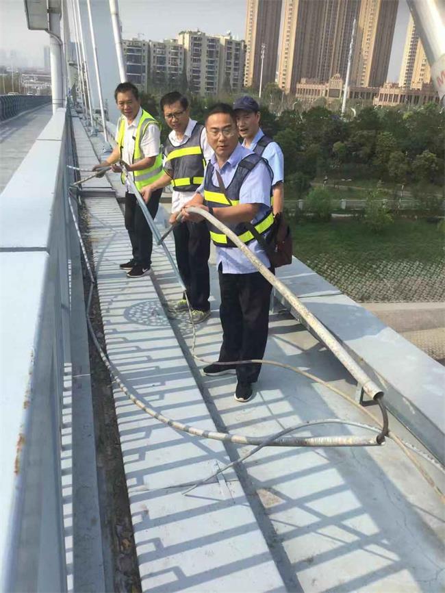 问鼎游戏娱乐平台