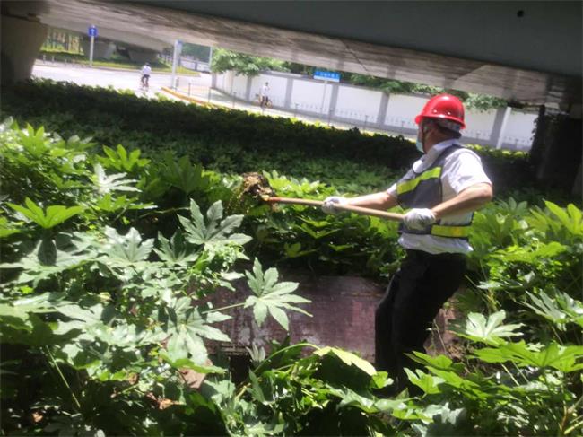 问鼎游戏娱乐平台