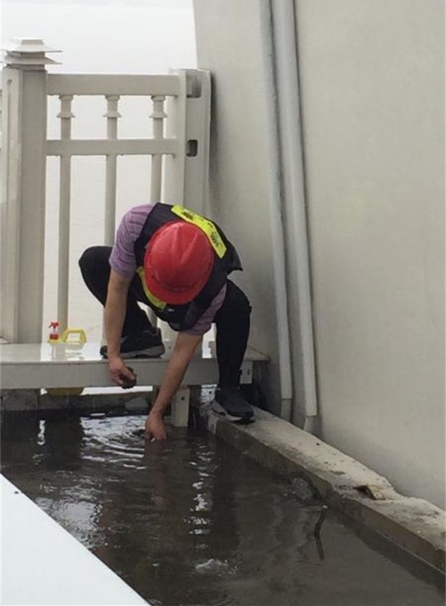 问鼎游戏娱乐平台