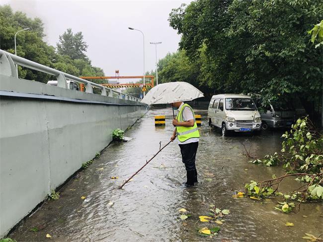问鼎游戏娱乐平台