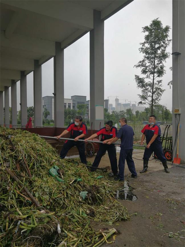 问鼎游戏娱乐平台