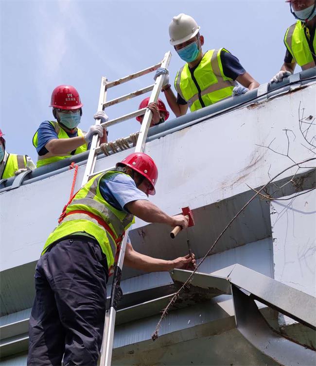 问鼎游戏娱乐平台
