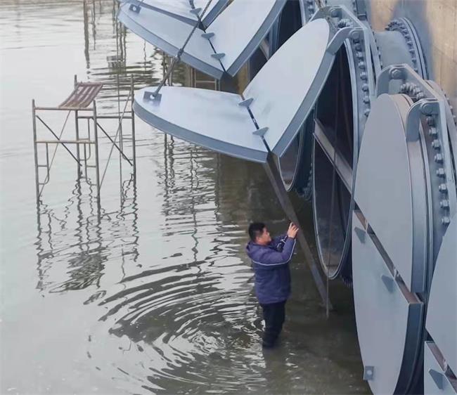 问鼎游戏娱乐平台