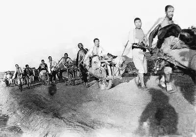 问鼎游戏娱乐平台