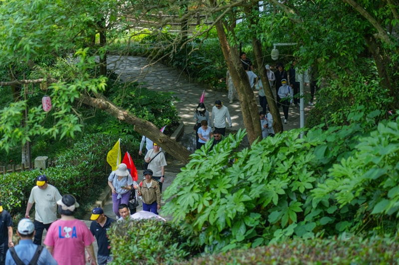 问鼎游戏娱乐平台